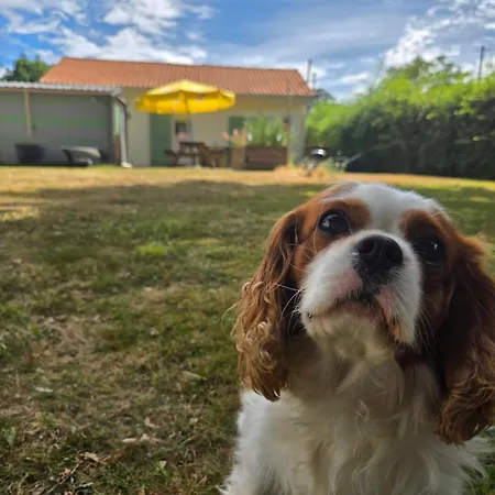 Casa de Férias La De Megue Froidfond