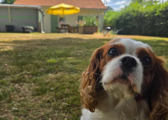 Vakantiehuis La De Megue Froidfond